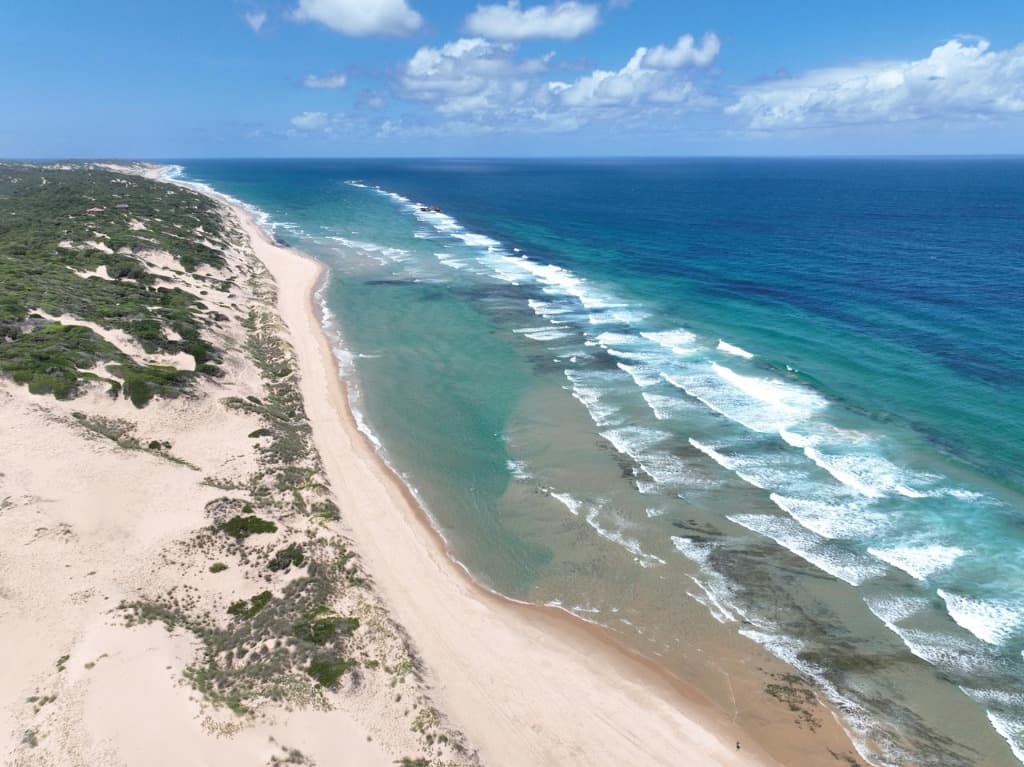 Pristine Jangamo coastline from above